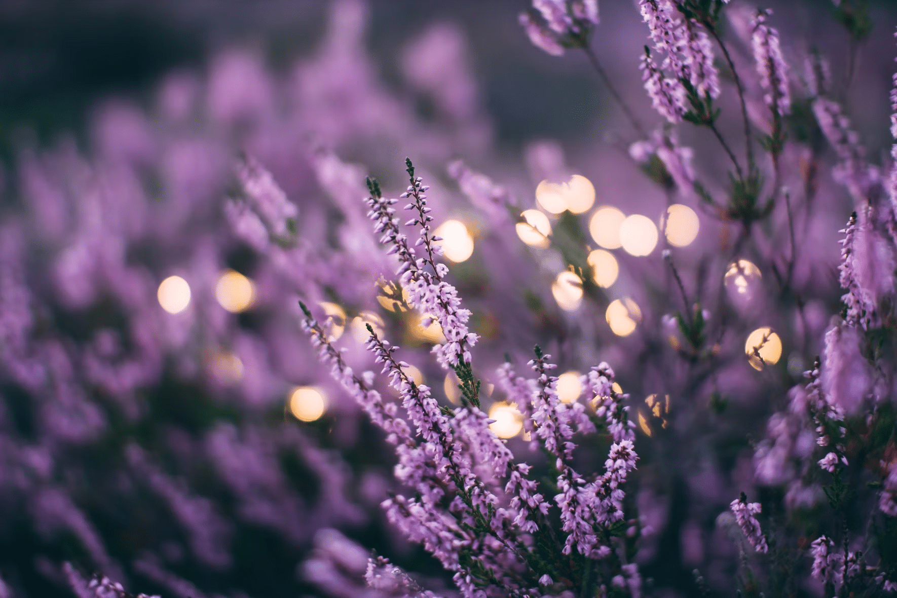 aromaterapeutický sprej na polštář s levandulí nebo jinou uklidňující vůní navodí pocit klidu