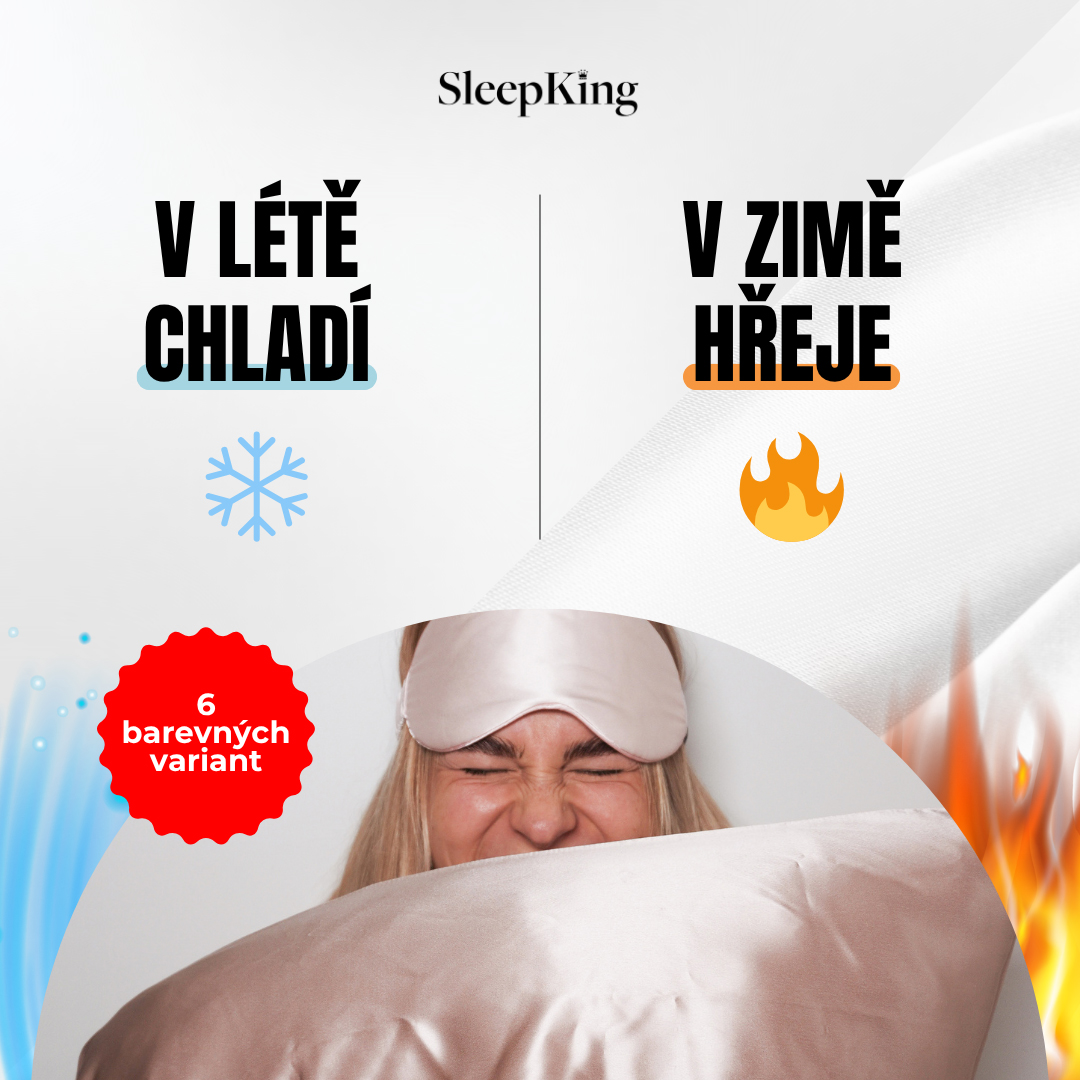 SleepKing™ Hedvábný povlak Charlotte 2 SleepKing™ Hedvábný povlak Charlotte - Obrázek 2
