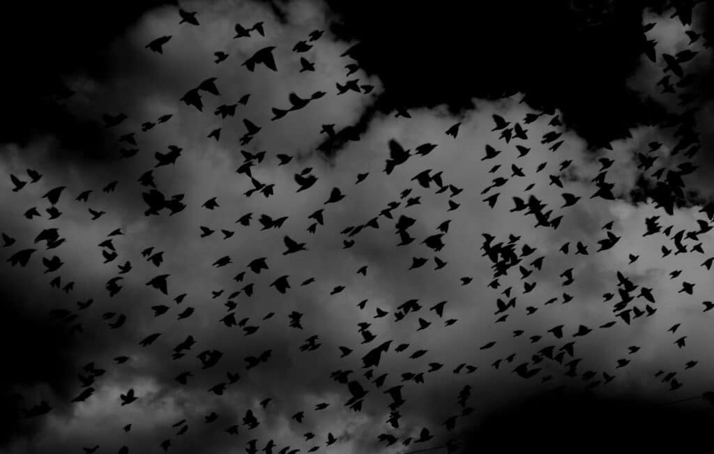 alessandro benassi hz1wqbhcxag unsplash