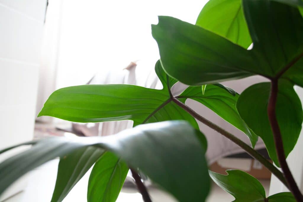 amy harrison p9co tm2srw unsplash