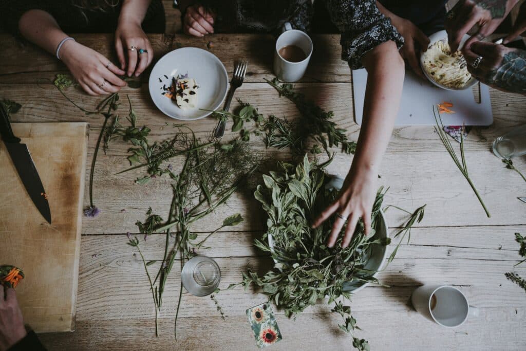 annie spratt jlpdkdcucei unsplash