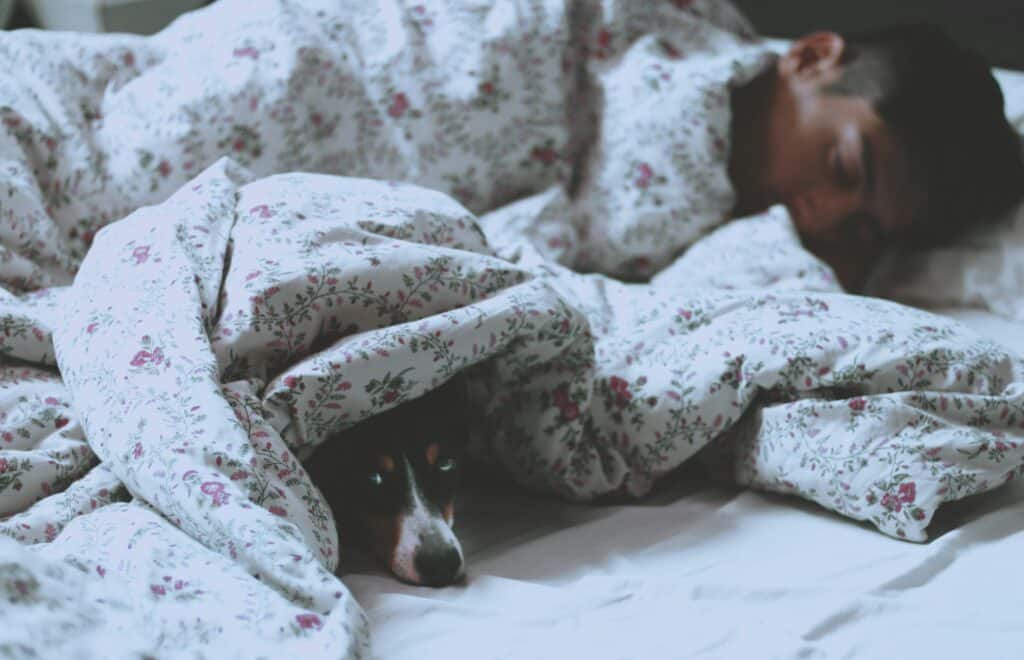 claudia manas nvow94yhp2g unsplash