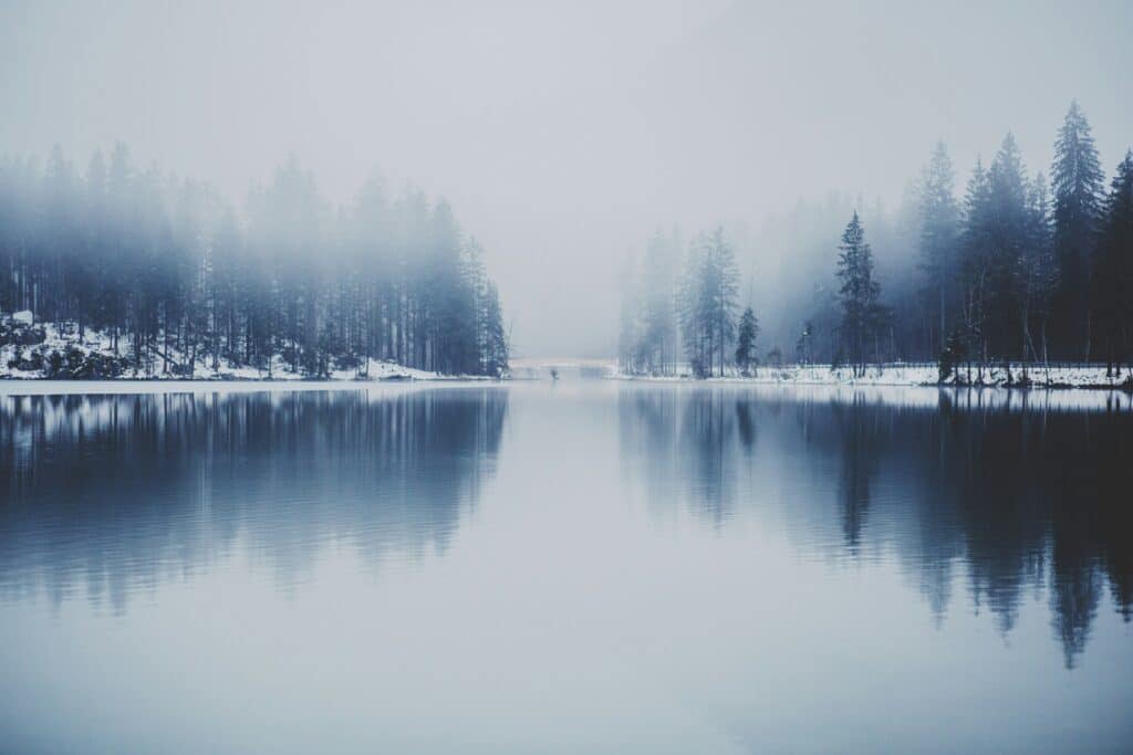 dominik dombrowski knup ybwbse unsplash