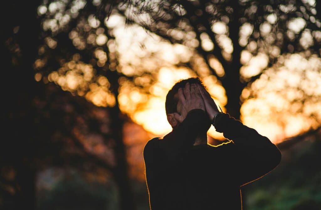 francisco moreno wuo8knycm4i unsplash