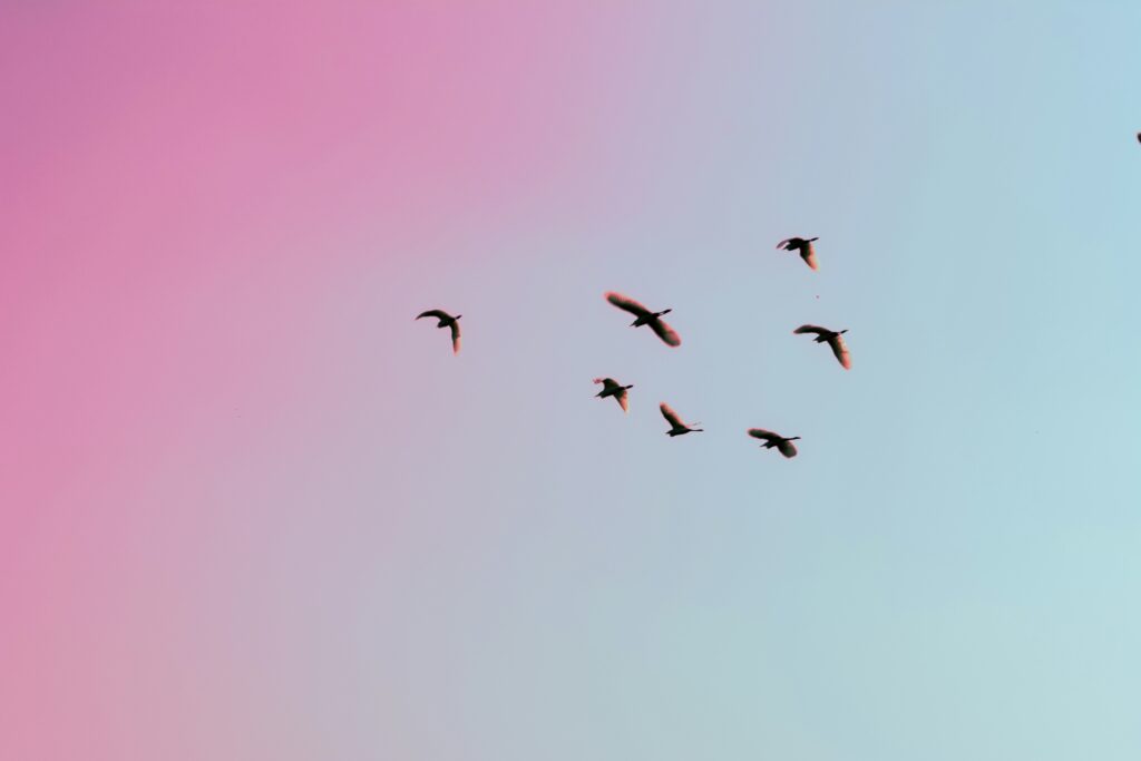 gauravdeep singh bansal cac13dide9e unsplash