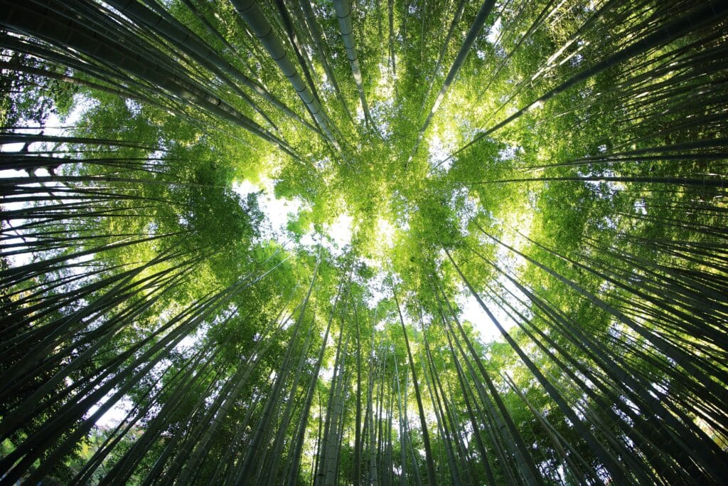kazuend 19sc2oavzw0 unsplash