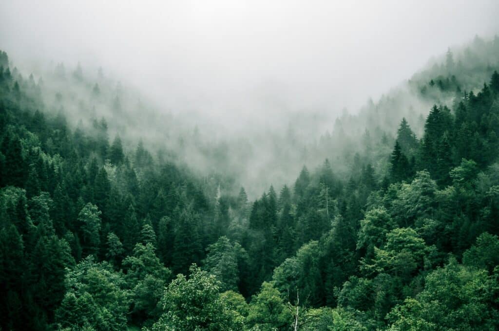 marita kavelashvili ugnrxk1129g unsplash