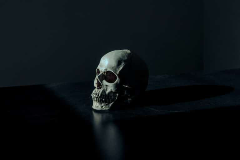 mathew macquarrie u6onpbmuzas unsplash