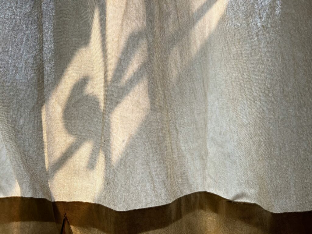 saad ahmad 3vsa5sbvdpc unsplash
