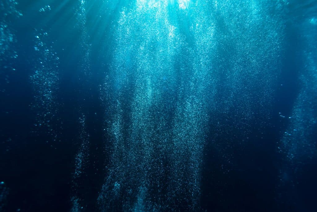 sarah lee quru8iy rai unsplash