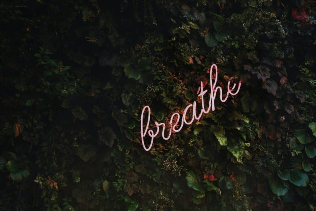 tim goedhart vnptrdmtq30 unsplash