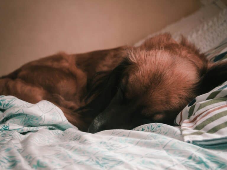wilson montoya watt8r kvwe unsplash