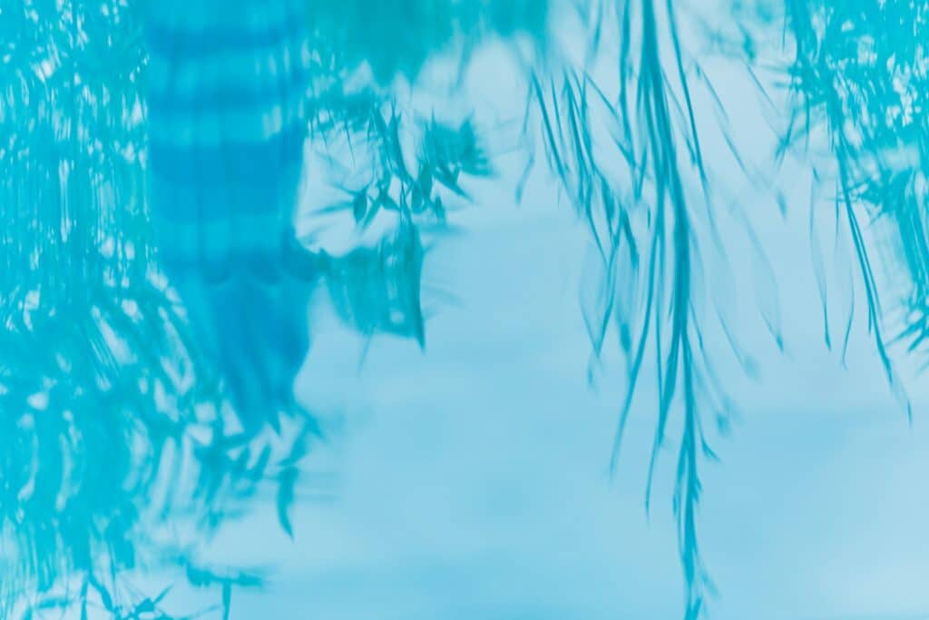 zdenek machacek vaqaqidhxkw unsplash 1