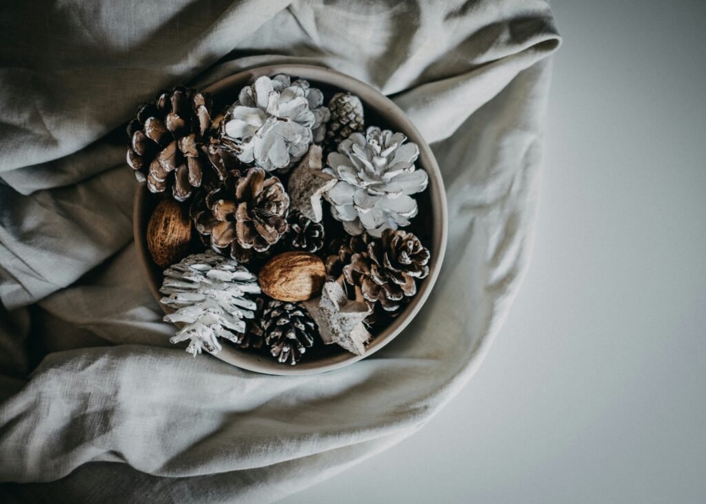 annie spratt nj4pkjyj35m unsplash