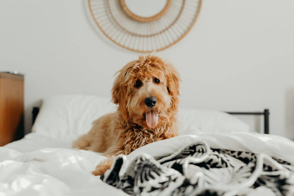 brooke cagle szzldr9800c unsplash