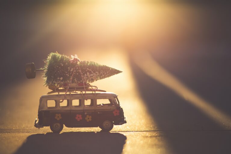 denise johnson m4eisqg0e0e unsplash