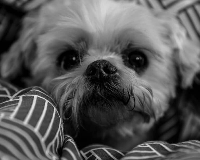 kim becker lmgliykuxj8 unsplash