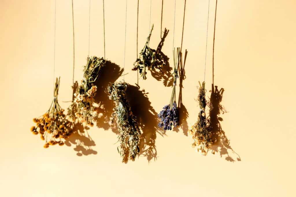 milana burlo chw58egppau unsplash