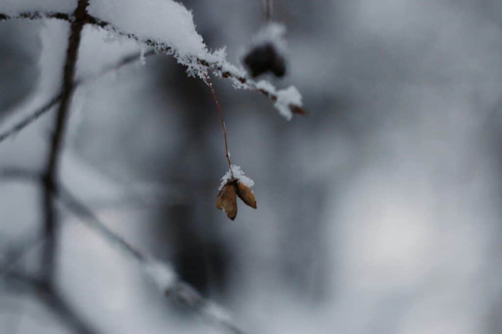 olga deeva dxyk hl joi unsplash