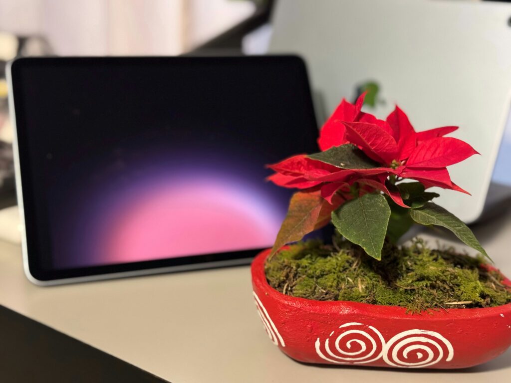 storresjayrmx xf7x1aubalg unsplash 1