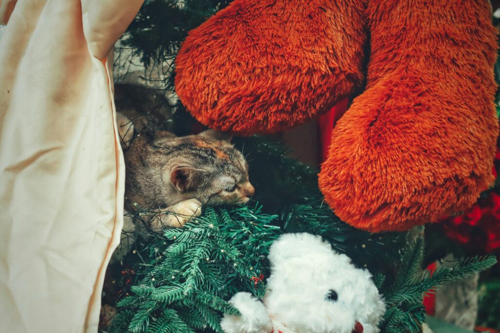 Vánoční dárky pro lepší spánek: Technologie a inovace 3 vy le govlsuvmfz0 unsplash