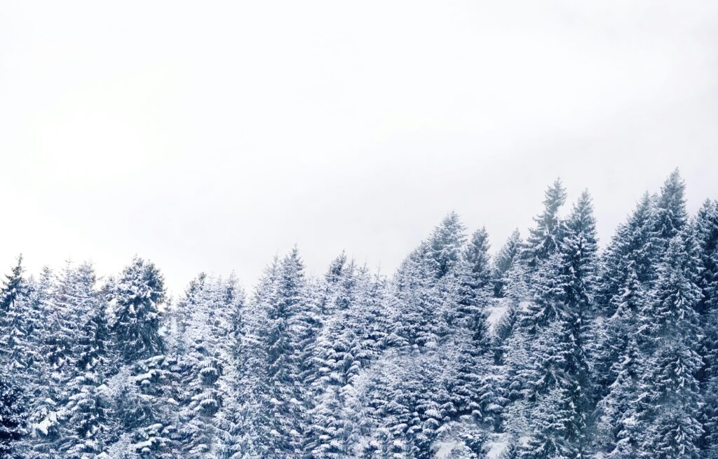 Dárek, co zachraňuje večery: Ochrana před modrým světlem 2 adrian regeci uguhspgqbdo unsplash