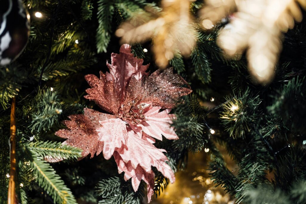 Luxus, co se vleze do obálky pod stromeček. 3 chuttersnap nfbpnxhw58y unsplash