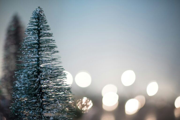 nathan anderson owubnumsegc unsplash