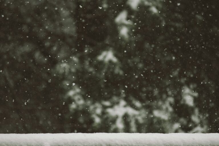nathan fertig scbyogvyb8q unsplash