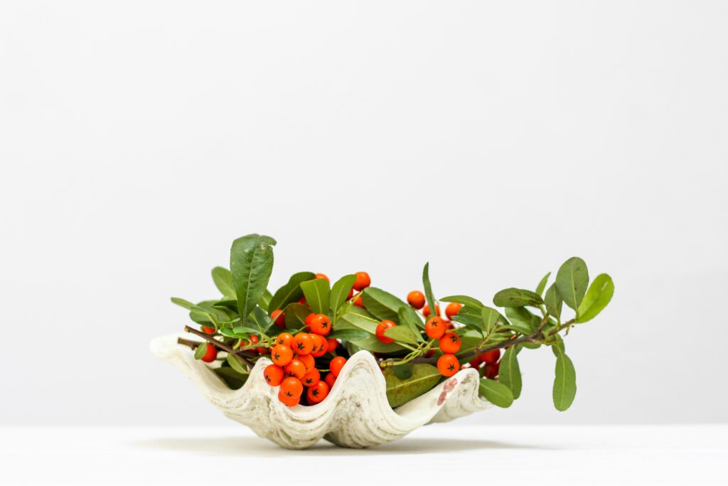 nordwood themes 5efsyffd5yi unsplash