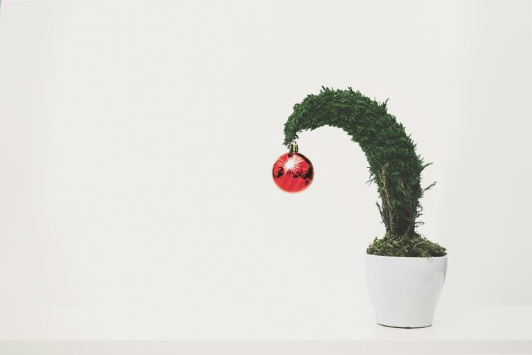 scott webb nqr jsop01y unsplash