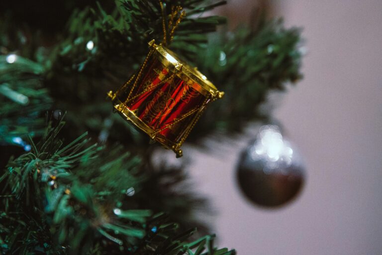 vijesh datt t pxlye jpa unsplash