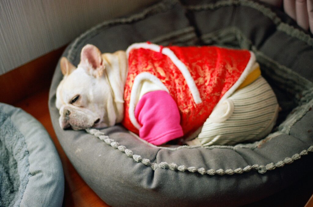 zhen yao 6 xxj564wko unsplash