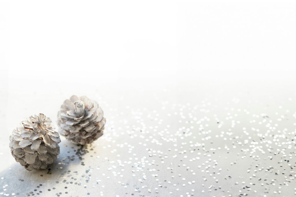 Hedvábí, které nosí všechny celebrity – a letos může být i váš vánoční dárek! 3 danielle suijkerbuijk 7 y11jpacaa unsplash