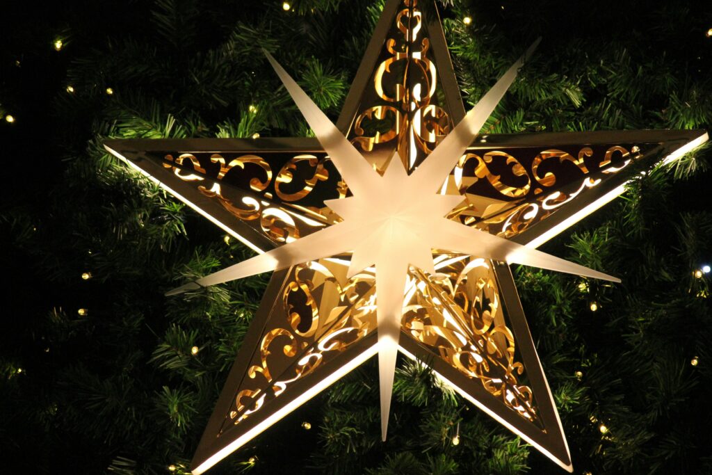 Doplněk stravy, po kterém šílí všichni, co chtějí přežít vánoční shon! 1 frolicsome fairy 8gb q4z2mi4 unsplash