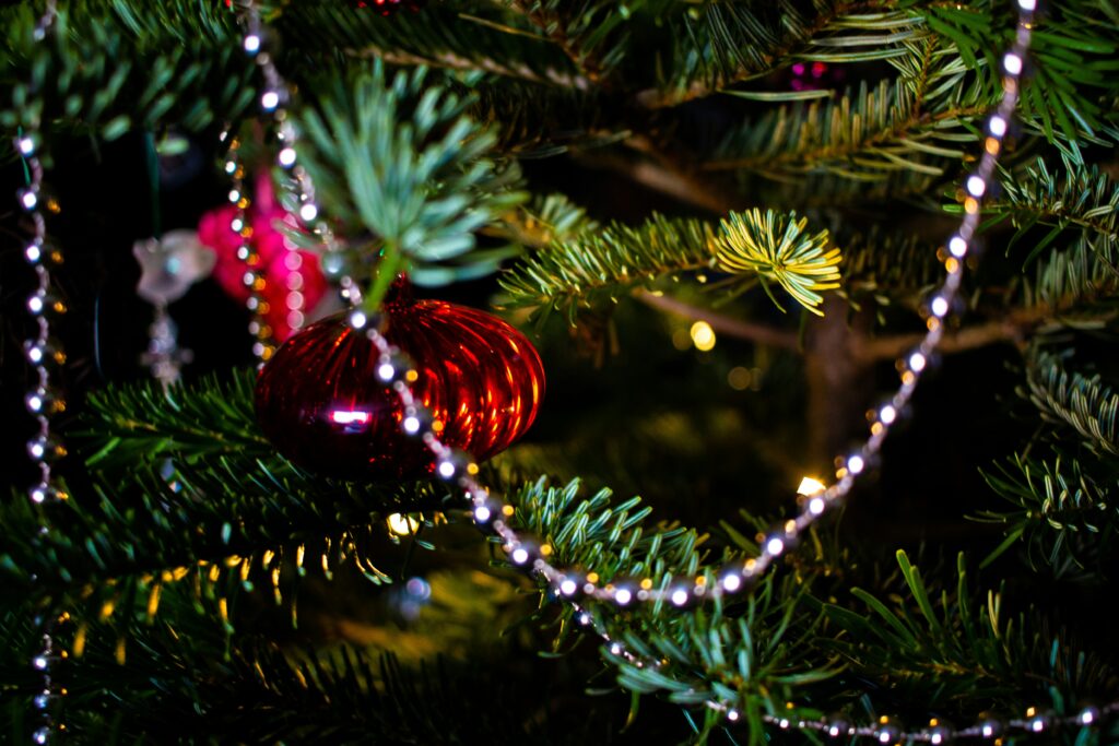 Luxus, který voní po Vánocích. A stojí méně než pizza. 1 kate shashina x4w51gcgsee unsplash