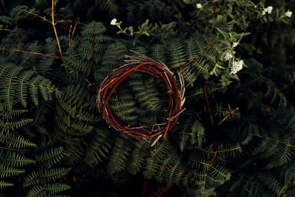 Dárek, který u nás vyvolal rodinnou hádku. Každý ho chtěl! 2 samuel lopes pzfmis28csm unsplash