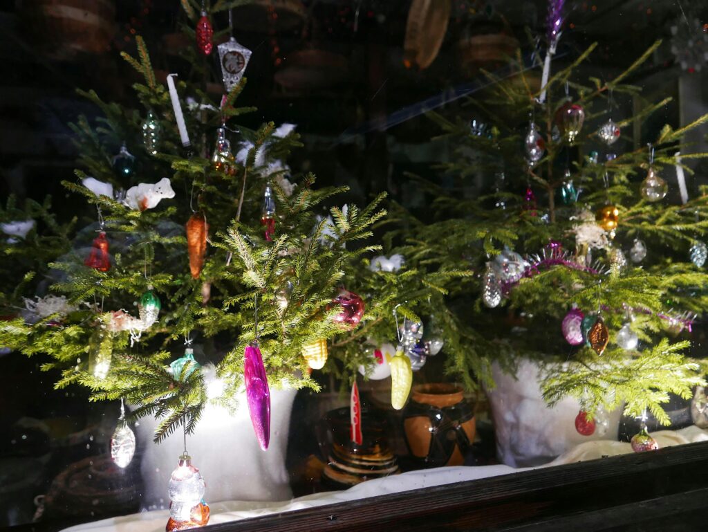 Špunty do uší – dárek, který vyřeší všechny vánoční hádky! 2 sarlote doroteja j zxnd9kaqq unsplash