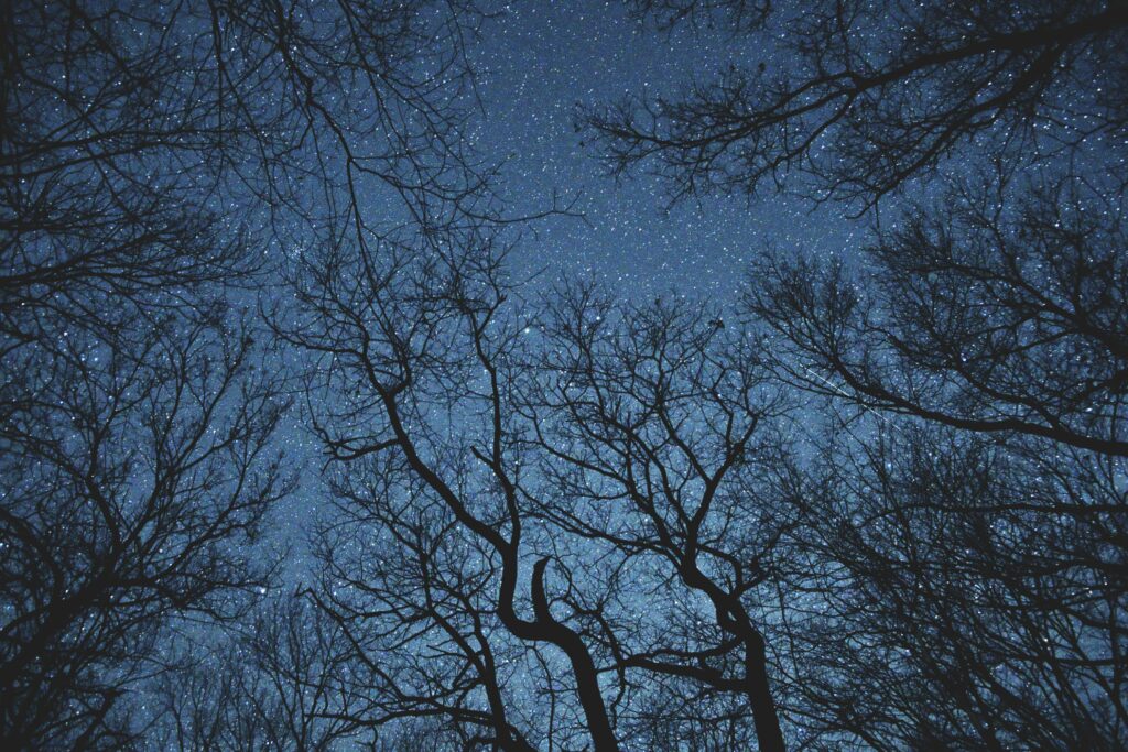 Tipy celebrit na lepší spánek: Lekce od Aniston, Carey a Lopez 3 willis stout gvr1alj0xpq unsplash