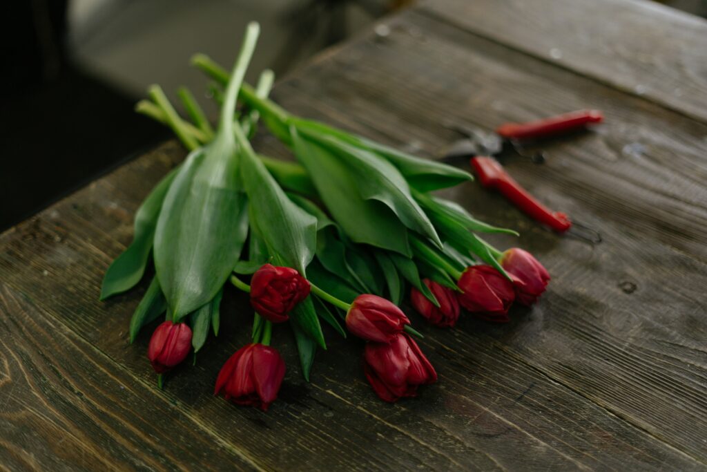 Valentýn: Co darovat, aby se partner cítil opravdu dobře 1 albina white brzo ypbs3o unsplash