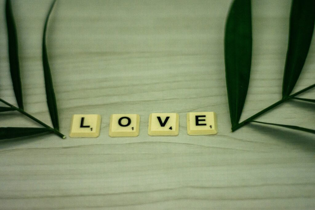 alex shute oz0hv0on4z0 unsplash 1