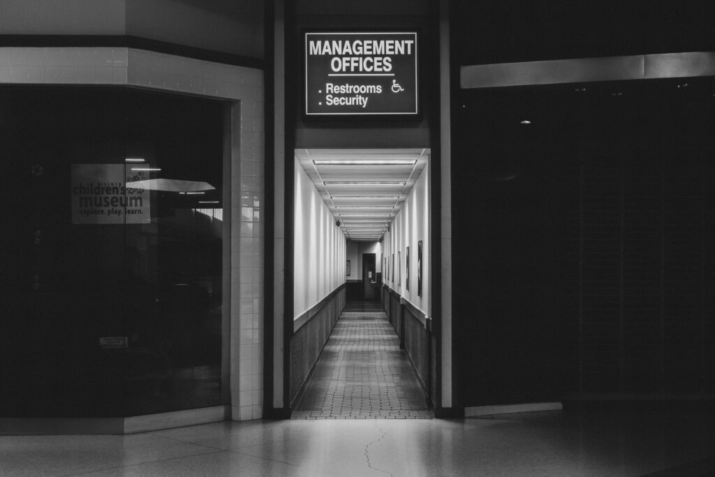 bruno guerrero m2xjlpgk8xo unsplash