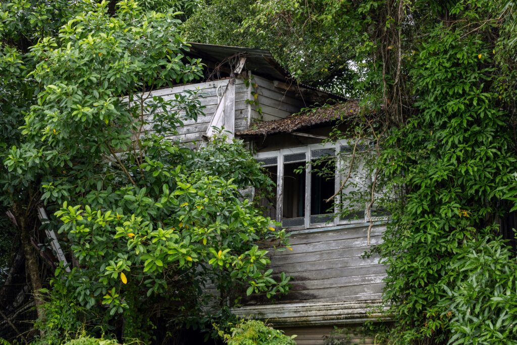 david clode no ub3l7oce unsplash