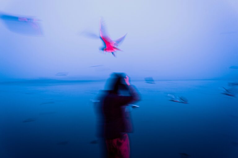 dewang gupta npjam8dk9yu unsplash