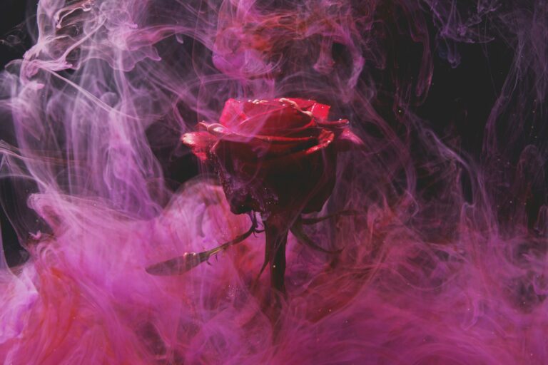 engin akyurt 1k74atbkuk8 unsplash