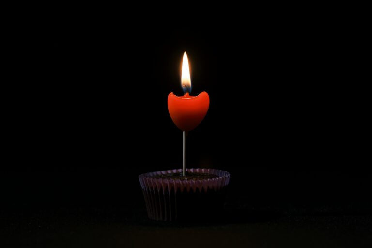 engin akyurt sl1vwr051zc unsplash