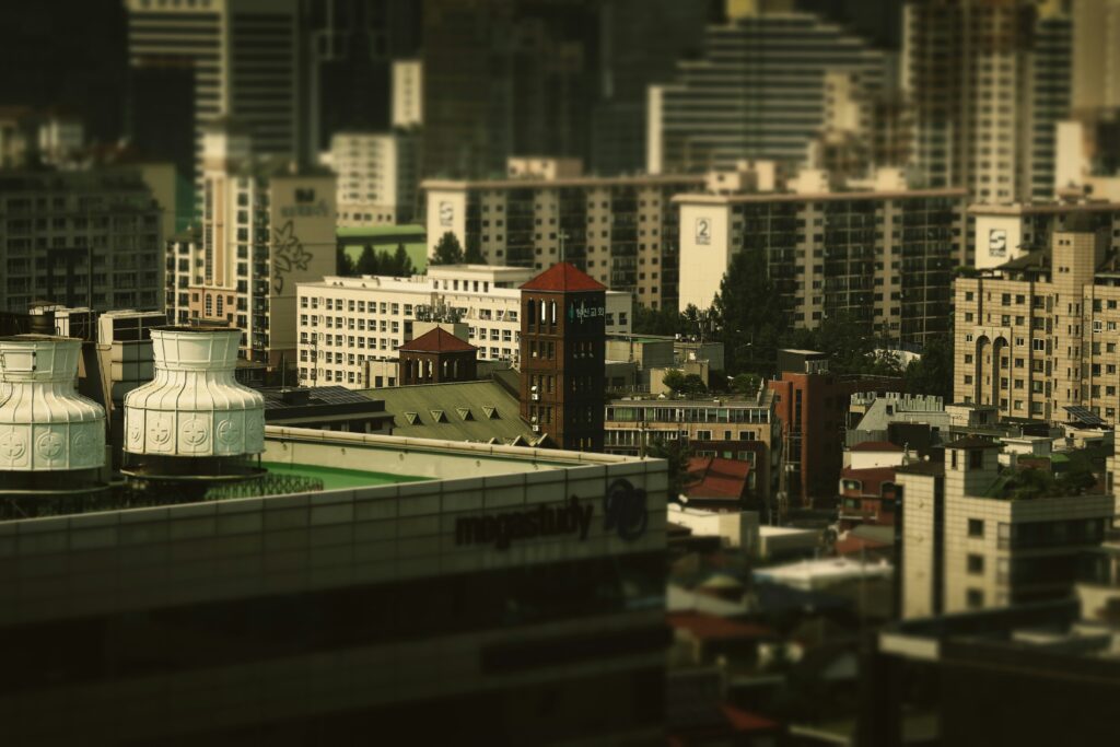 horserat bjapappabxi unsplash