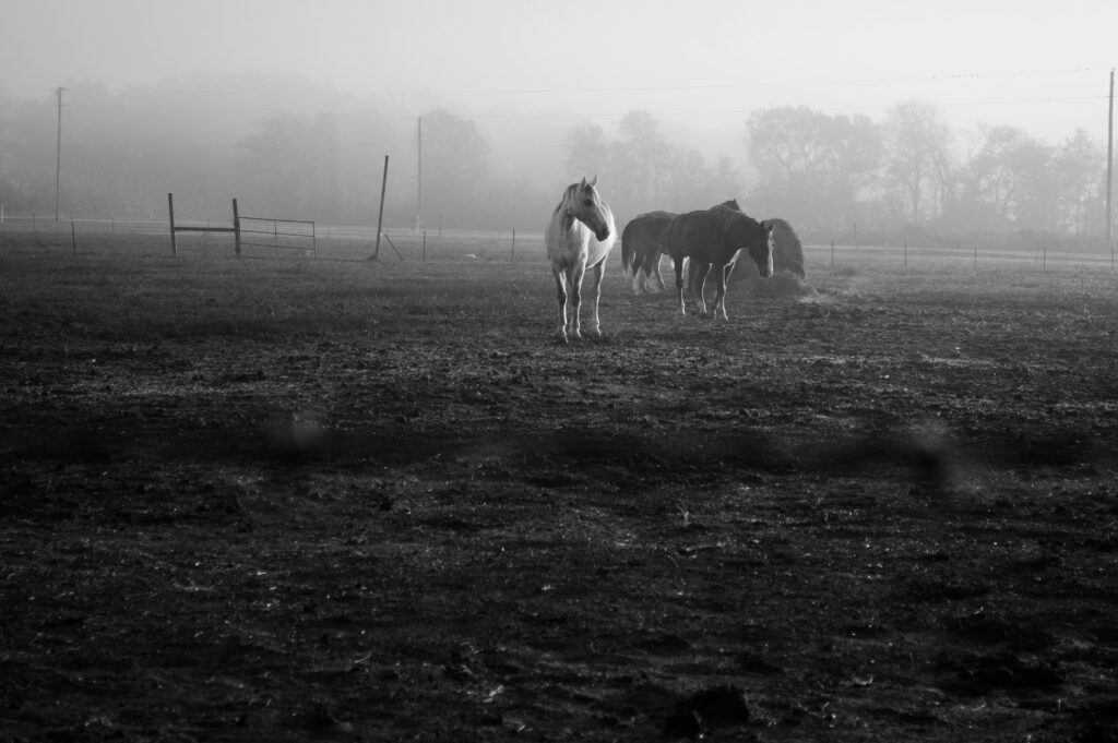 josh roberie pcssp0q3qay unsplash