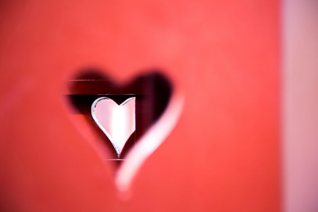 katja anokhina ioyrllvql5c unsplash