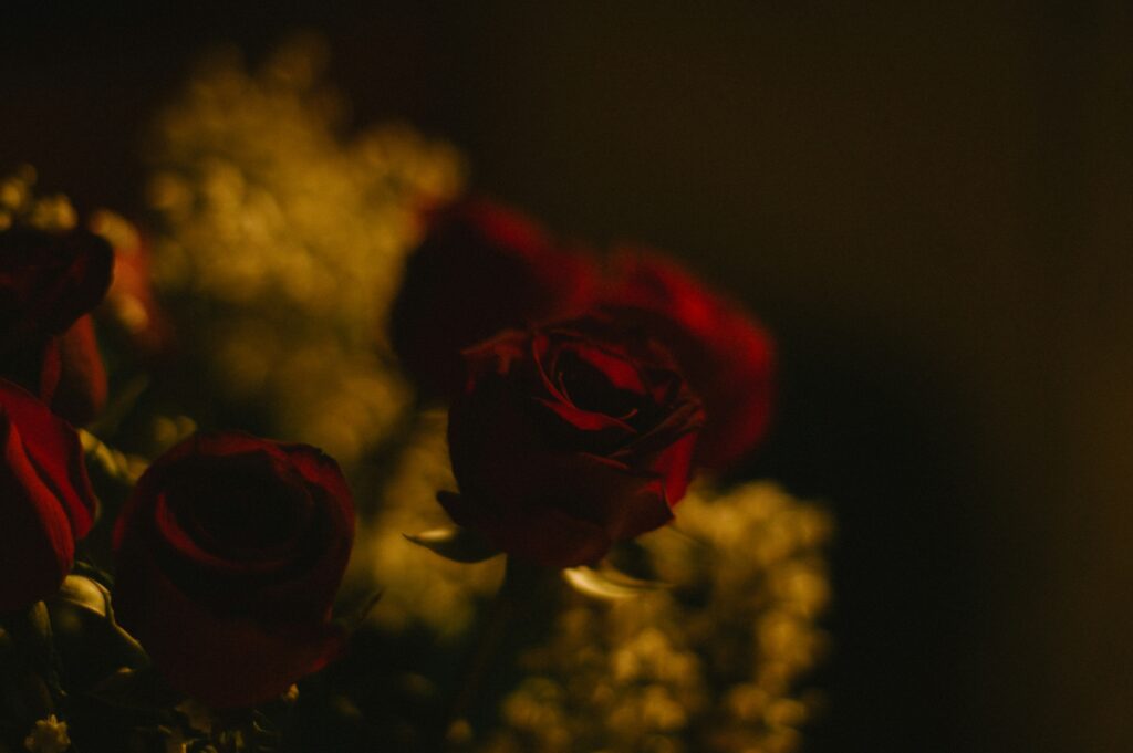 lai man nung tr9xyhmnpqy unsplash